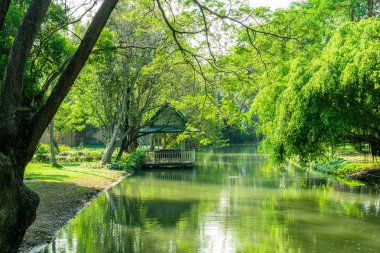 Waterfront pavilion bahçede yemyeşil, gölgeli bir atmosferde waterfront bitişik.