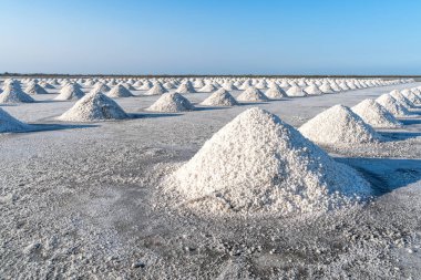 Tuz ısı güneş ışığı kullanarak tarım, tuz birlikte bir yığın olarak ahır'a taşınması için bekleyen toplanacak.