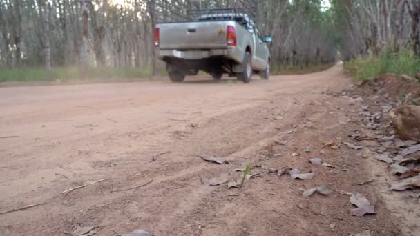慢动作 皮卡卡车运行在橡胶种植园尘土飞扬的土路上 — 图库视频影像