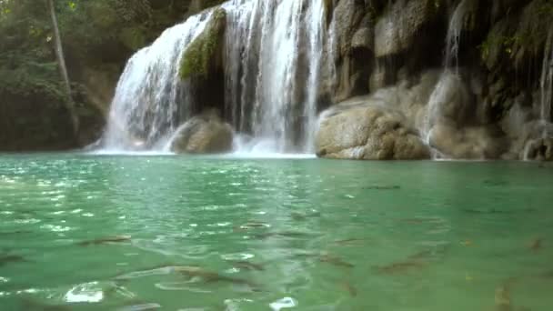 Erawan Élőhal Esik Második Emelet Trópusi Esőerdő Srinakarin Dam Kanchanaburi — Stock videók