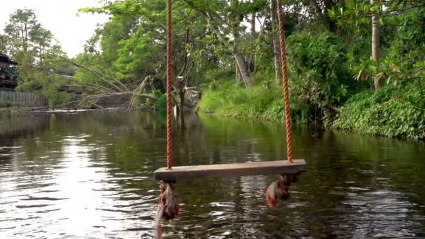 Slow Motion Swings Tied Trees Hanging Stream Peaceful Atmosphere Pleasant — Stock Video
