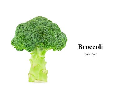 Beyaz arka planda izole brokoli yapılmış yaratıcı düzeni. Gıda konsepti.