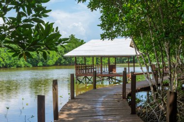 Mangrove ormanının yanında Waterfront pavilyonu.