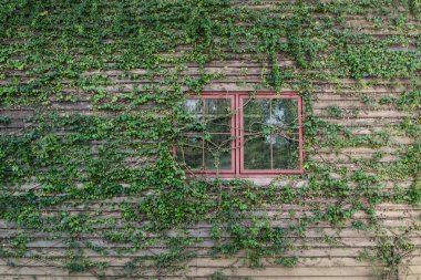 Eski ahırın pencereleri. Arkaplan resmi olarak kullanmak için