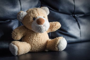 Siyah bir kanepeüzerinde Teddy Bear.