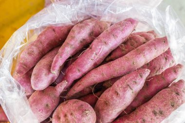 Yakın çekim, verim Tatlı Patates, satılmayı bekleyen bir plastik torbakoymak.