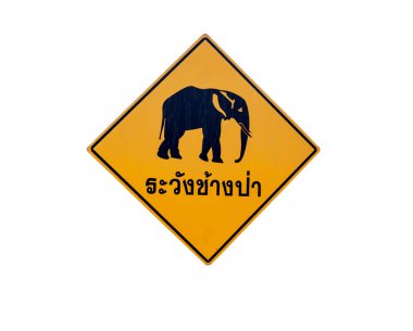 Beyaz bir arka plan üzerinde izole işareti uyarı fil