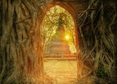 Görünmeyen Tayland, Tayland Tarihi eski şehir, Wat Phra Ngam, Ayutthaya, Tayland, güneşten parlama ışık gün batımında parlar