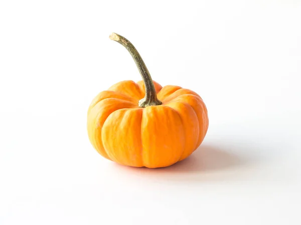 Calabaza Naranja Aislada Sobre Fondo Blanco — Foto de Stock