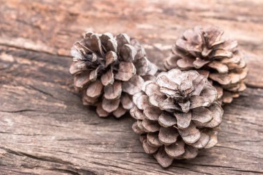 çam kozalağı ahşap zemin üzerinde