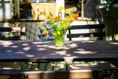 masada cam çiçekler orang, Backyard bahçe