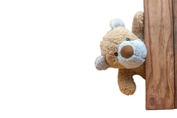 Тедди Медведи Изолированы Белой Земле — стоковое фото