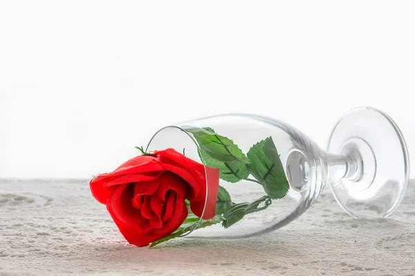 Roses Sont Verre Vin Rouge — Photo