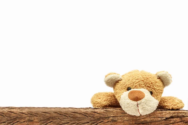 Teddy Bear Climbing Fence White Background — Stock Photo, Image