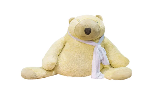 Polar Teddy Bear Isolated Clipping Path — Stock Photo, Image