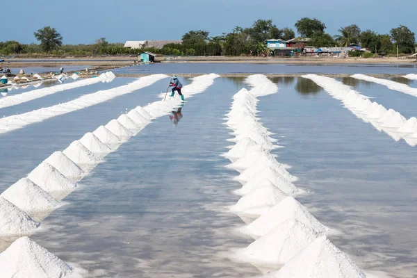 Heap of sea salt in original salt produce farm make from natural ocean salty water preparing for last process before sent it to industry consumer.It is made in Thailand