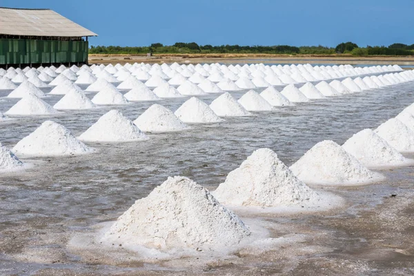 Heap of sea salt in original salt produce farm make from natural ocean salty water preparing for last process before sent it to industry consumer.It is made in Thailand