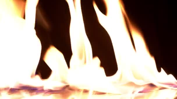 Videodreh Feuerflammen Die Sich Entzünden Und Verbrennen Echtes Feuer Eine — Stockvideo