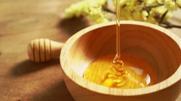 Bal Stok Video, Telif haksız Bal çekimler | Depositphotos