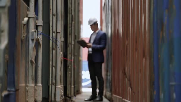 Ingenjören Inspekterar Containern Lagerlokalen Internationell Sjöfartsindustri — Stockvideo