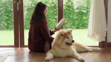 Oturma odasında Akita Inu köpeği evcil hayvanıyla bahçedeki çimlere bakan güzel bir Asyalı kadın..