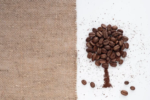 Coffee tree made of coffee beans on burlap rustic