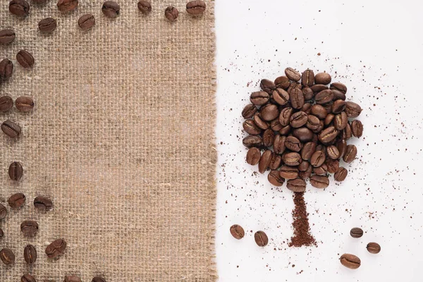 Coffee tree made of coffee beans on burlap rustic