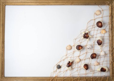 Çikolata şekerleme, geleneksel Belçika kabuk şekli. deniz