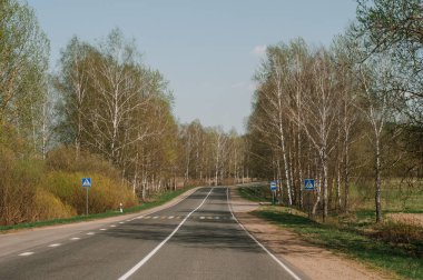 yol tepeye güneşli gün batımında dağ üstünde için ormandaki. 