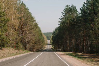 yol tepeye güneşli gün batımında dağ üstünde için ormandaki. 