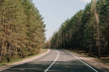 yol tepeye güneşli gün batımında dağ üstünde için ormandaki. 
