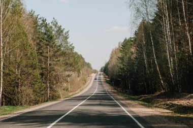 yol tepeye güneşli gün batımında dağ üstünde için ormandaki. 
