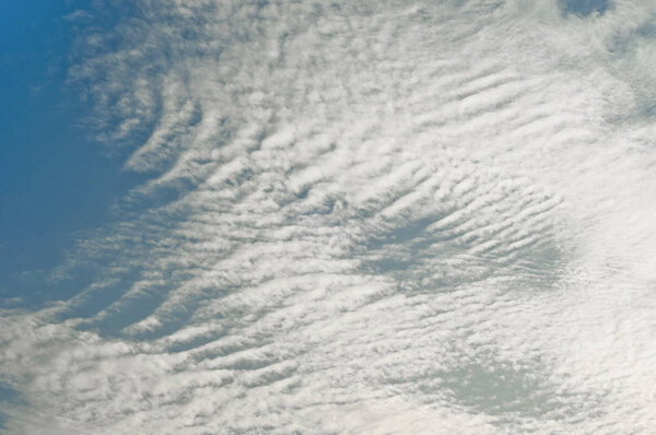 Grunge paper texture. abstract nature background 