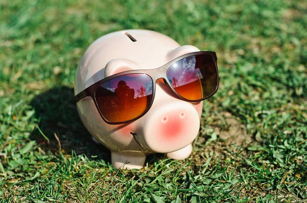 Pink Piggy Bank Con Gafas Sol Negras Hierba —  Fotos de Stock