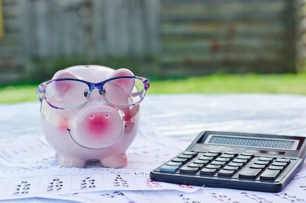 Piggy Bank Wearing Glasses Accountancy Paperwork Calculator — Stock Photo, Image