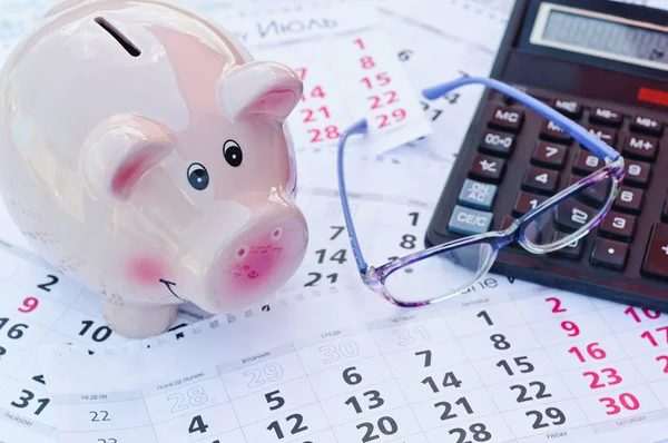 Happy Piggy Bank Glasses Success Savings Concept — Stock Photo, Image