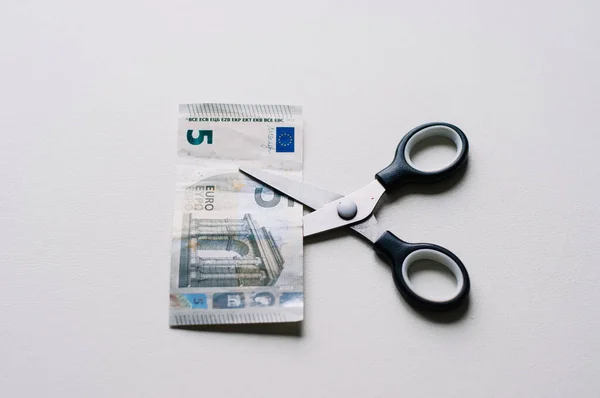 Money cut business concept, scissors cut the euro