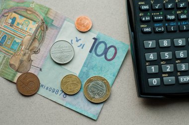 Finansal, tasarruf, yatırım, maliyet ve planlama konseptine sahip domuz kumbarası ve paralar