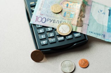 Finansal, tasarruf, yatırım, maliyet ve planlama konseptine sahip domuz kumbarası ve paralar