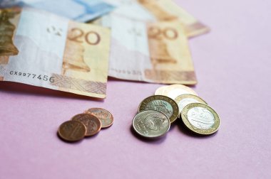 Yeni Beyaz Rusya parası. Bozuk para ve banknotlar. Finans kavramı.