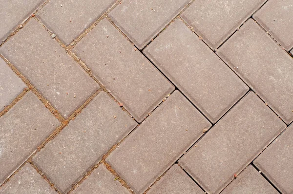 Paving Slabs Seamless Tileable Texture — Stock Photo, Image