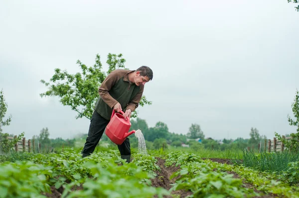 Seorang Tukang Kebun Menuangkan Saladnya Senior Bahagia Dengan Kaleng Air — Stok Foto