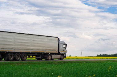 Otoyolda konteynır taşıyan kamyon, kargo taşıma konsepti. Traş efekti.