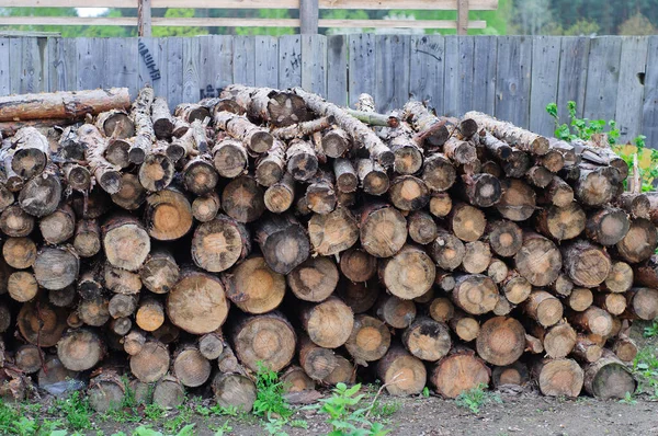 Tronchi Segati Ceppo Albero Segato Sull Erba Taglio Sanitario Degli — Foto Stock