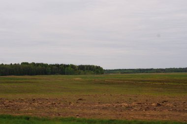 Orman arka planında tarla sürülmüş. Bulutlu bir gün