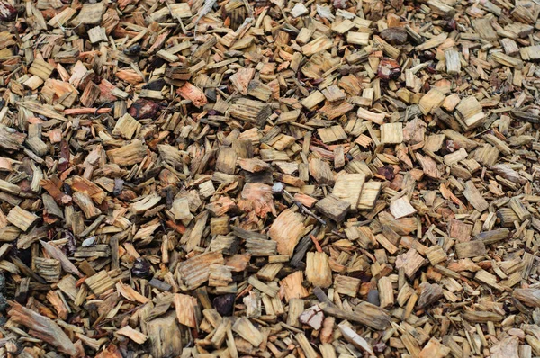 Wooden Shavings Background Pattern — Stock Photo, Image