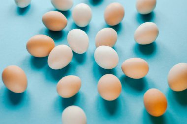 Yumurtalar hazır. Bir sürü gıda ürünü. Renkli parlak bir arka plan. Geleneksel mutfak. Üst görünüm. 