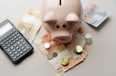 2016 mezunu, domuz kumbarasından sonra Belarus Rublesi. 