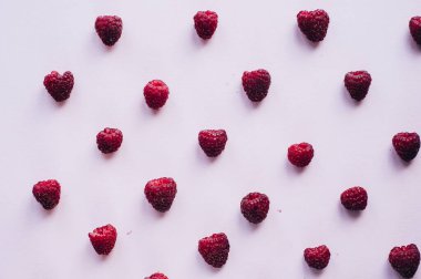 Pembe arka planda renkli ahududu deseni. Üst görünüm