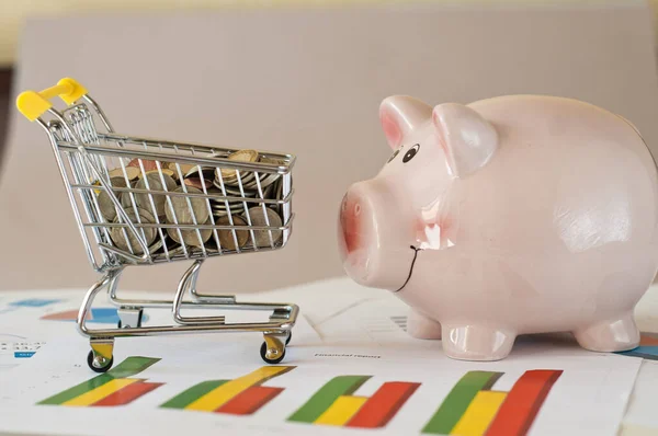 Shopping Cart Dollars — Stock Photo, Image